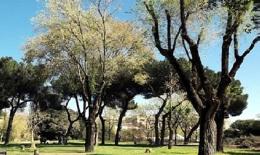 Roma punta sul verde: patto con  i volontari di Retake