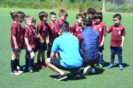 Frascati, che entusiasmo! Marcelli: "Siamo felici per i nostri ragazzi"