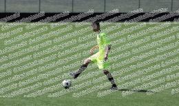 Champions Academy - Sporting San Cesareo