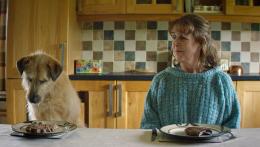Alla Casa del Cinema torna l'Irish Film Festa: il 21 e 22 maggio