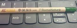 Gesis, domenica si chiude il progetto "Sport e Natura" con un regalo speciale...