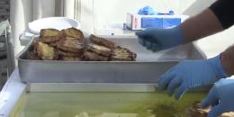 59esima edizione della Sagra della Bruschetta, il 22 e 23 ottobre