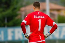 Giudice Sportivo: tre giornate a Palmisani e due a Gorgone del Frosinone. E non solo
