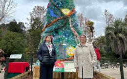Festività natalizie: al Bioparco l'albero del riciclo

