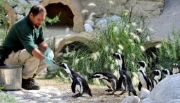 Capodanno 2023 al Bioparco di Roma: dalle ore 9.30 alle 17.00