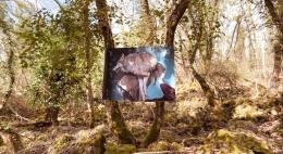 Successo per l'istallazione fotografica di Lucrezia Testa Iannilli