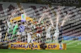 Fiorentina - Roma
