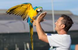 Torna Pet Carpet Film Festival: il cinema ed il mondo animale
