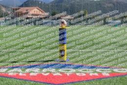 Arce - Montenero
