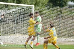 Frosinone - Palermo