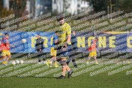 Frosinone - Cosenza