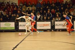 Le decisioni del giudice sportivo dopo i fatti di Fortitudo - Ecocity