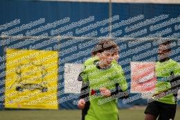 Pro Calcio Tor Sapienza - Grifone Gialloverde
