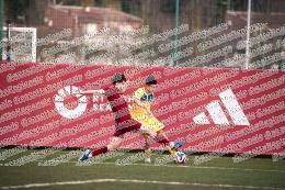 Roma - Frosinone