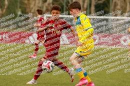 Roma - Frosinone