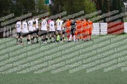 Spes Mundial - Longarina