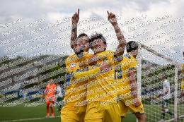 Frosinone - Avellino