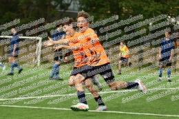 Club Olimpico Romano - Spes Artiglio