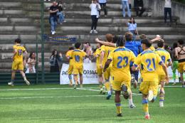 La cavalcata perfetta del Frosinone. Un successo da grande squadra