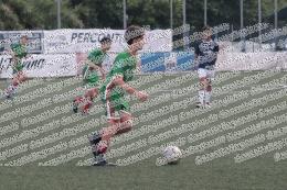 Red Tigers - Polisportiva Carso