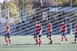 Longarina - Academy Ladispoli