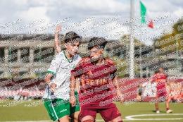 Roma - Avellino
