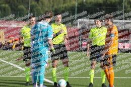 Roma - Frosinone
