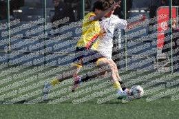 Longarina - Rodolfo Morandi