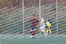 Aurelianticaurelio - Sorianese