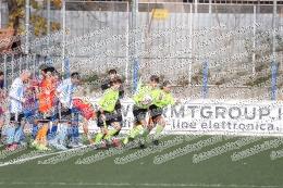 Vigor Perconti - Cynthia