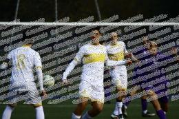 Boreale - Urbetevere