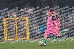 Alatri - Vivace Grottaferrata