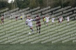 Boreale - DF Academy