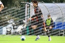 Duepigreco - Borgo Palidoro