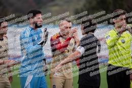 Boville Ernica - Canarini