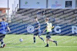 Grifone - Academy Ladispoli