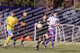 Petriana - Ostiamare