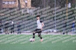 Spes Montesacro - Red Tigers