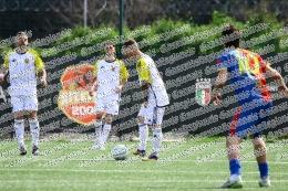 Magnitudo - Vigor Perconti