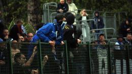 Boreale: il comunicato viola sugli episodi della tifoseria del Bisceglie 