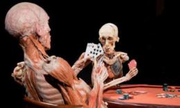 Body Worlds a Roma: il corpo umano si fa spettacolare
