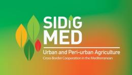 E' Roma la città italiana scelta per il progetto europeo di urban agriculture