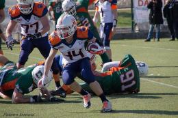 Grizzlies, esordio negativo: a Roma trionfano i Dolphins