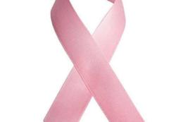 Fratelli d'Italia:"Il fiocco rosa non basta..."