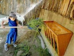 Centri estivi: la soluzione zoologica al Bioparco e al Museo
