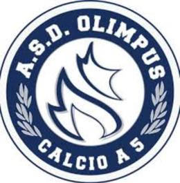 Maurizio Radice lascia l'Olimpus