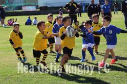 Nea Ostia, iniziata la nuova stagione dall'Under 8 alla prima squadra