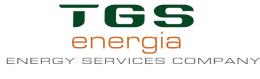 TGS Energia - Scopri come risparmiare sulla bolletta energetica