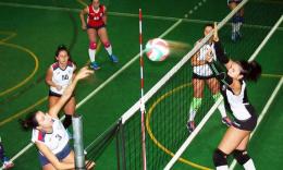 D - Rosavolley, Ronsini: "Possiamo ancora migliorare"