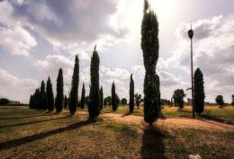 Parco di Centocelle: i cittadini si mobilitano